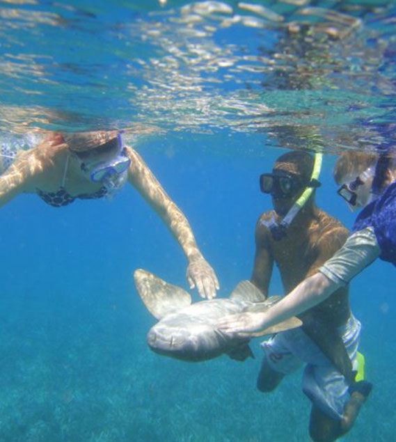 Snorkeling